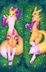 P165-daki-thumbnail