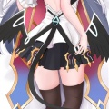 258412-1 fgo-妖精骑士兰斯洛特 B