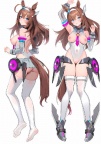 100070 赛马娘